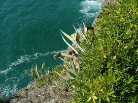 Promontorio_di_Portofino